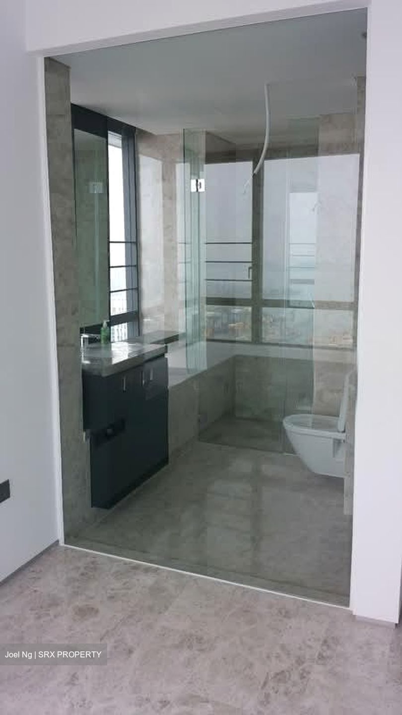 Skysuites@Anson (D2), Apartment #555177001